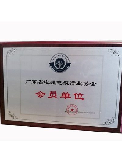 鸿运国际科学-广东省电线电缆行业协会会员